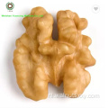 Professionele verwerkte Walnut Kernels Light Helften voor verkoop